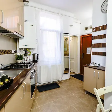 Apartamento Old Center Universitate Coltea - Cav9