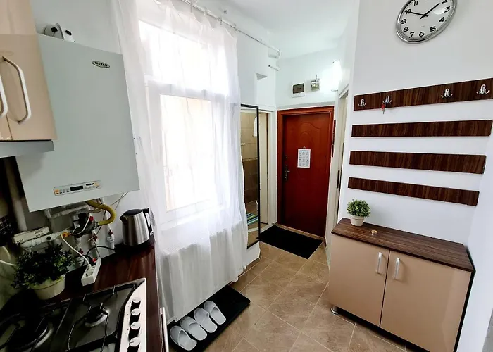 Apartment Old Center Universitate Coltea - Cav9